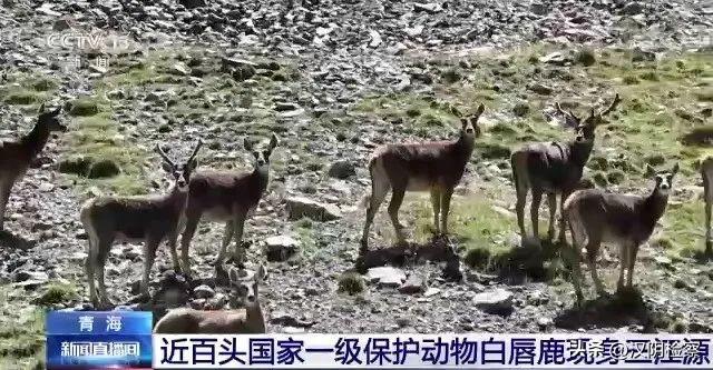 炒股杠杆配资收益